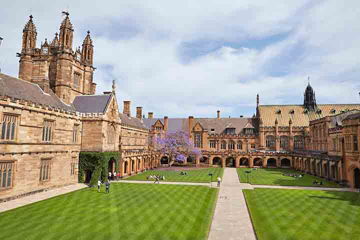 A cidade abriga universidades renomadas, como a University of Sydney, que atraem estudantes do mundo inteiro. Essa vocação acadêmica fortalece a inovação e o intercâmbio cultural.