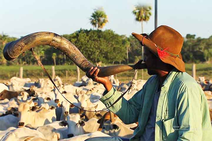 Assim, o berrante e esses outros sons compõem um retrato vivo do campo. Juntos, revelam como o som sempre foi ferramenta de trabalho e cultura no interior do Brasil.