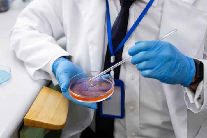 Fertilização in vitro