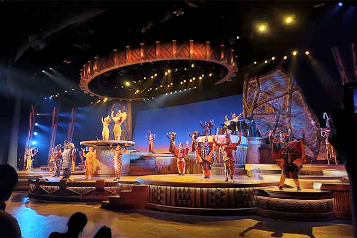 O parque conta com desfiles, encontros com personagens e espetáculos noturnos com fogos e projeções, criando uma atmosfera imersiva para visitantes de todas as idades.