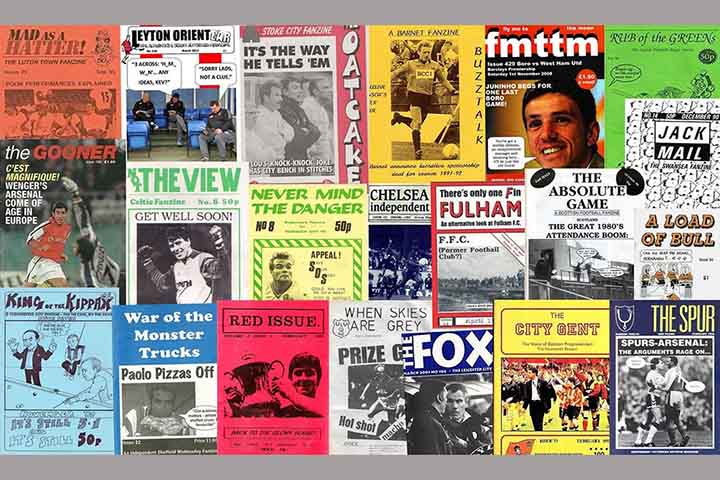 A diversidade é uma das principais características dos fanzines. Não há limites rígidos de conteúdo, formato ou linguagem, o que permite uma infinidade de variações. Entre os principais tipos, destacam-se os fanzines de fandom, voltados para comunidades específicas de fãs, como séries, filmes, bandas ou universos literários, nos quais são comuns análises, teorias e produções derivadas. Há também os chamados “perzines” (personal zines), que funcionam como diários pessoais ou reflexões íntimas dos