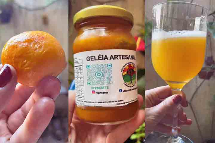 Seu sabor concentra uma acidez acentuada que direciona seu uso preferencialmente para a elaboração de derivados como licores, geleias, sorvetes e compotas artesanais, superando a barreira da oxidação rápida que o consumo in natura impõe.