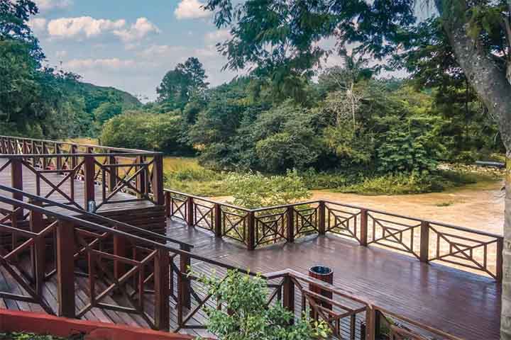 Outro ponto bastante visitado é o Recanto do Américo, um espaço às margens do Rio Paraíba do Sul que combina áreas verdes bem cuidadas, pontes suspensas e pequenas ilhas que convidam à contemplação e ao descanso, além de abrigar a árvore centenária que inspirou o nome da cidade e se tornou um de seus símbolos mais reconhecidos.