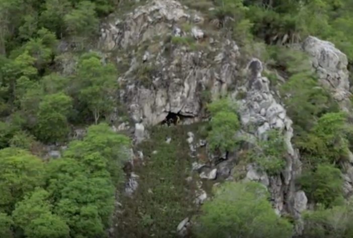 Caverna encontrada em Alagoas com mais de 21 mil morcegos - Reprodução