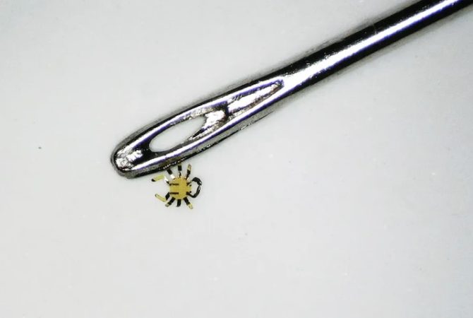 Cientistas desenvolvem o menor ‘robô ambulante’ do mundo controlado remotamente