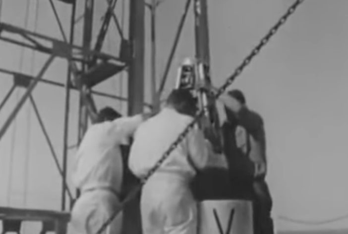 Em 18 de outubro 1963, a França enviou ao espaço uma gata de rua chamada Félicette - Reprodução