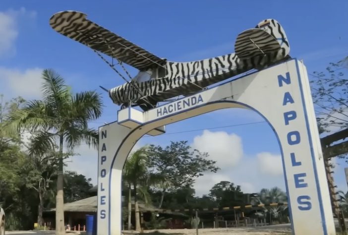 Hacienda Nápoles, antigo zoológico particular do narcotraficante Pablo Escobar - Reprodução/Band Jornalismo