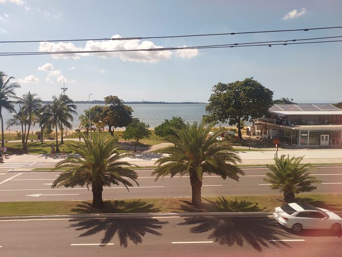 Na Orla de Vitória, no Espírito Santo, a palmeira-das-Canárias se destaca na paisagem com seu porte imponente. Na praia de Camburi, ela aparece em fileiras que valorizam o visual urbano e litorâneo. Seu tronco marcante e a copa volumosa ajudam a compor um cenário reconhecível à beira-mar.
