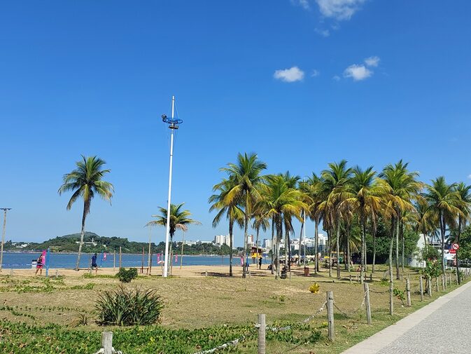 Os coqueiros também desempenham papel ambiental importante. Suas raízes ajudam a fixar o solo e reduzir a erosão em áreas costeiras. Além disso, contribuem para o equilíbrio dos ecossistemas locais.