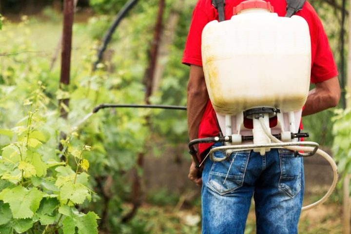 A presença de resíduos de pesticidas em alimentos frescos tem sido motivo de preocupação crescente entre consumidores e pesquisadores em todo o mundo. Esses alimentos são amplamente consumidos crus, o que aumenta a relevância da discussão sobre segurança alimentar.