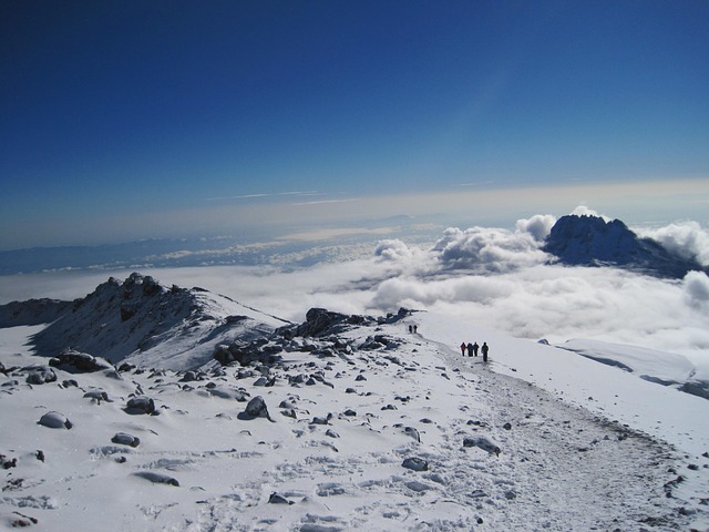 O trajeto do Monte Kilimanjaro passa por diferentes ecossistemas ao longo da subida. Essa diversidade é resultado da variação de altitude e clima em cada trecho da montanha. Nos níveis mais baixos, predominam florestas tropicais densas e úmidas, ricas em biodiversidade.
