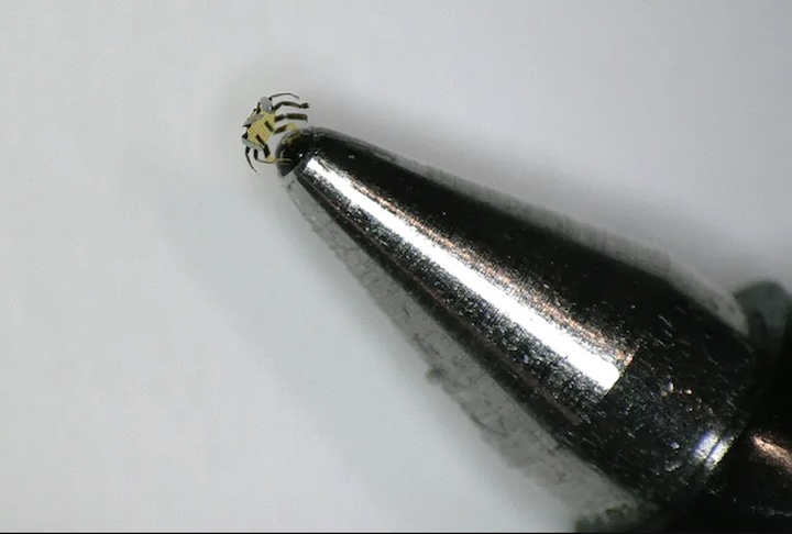 Esse tipo de tecnologia poderia permitir acesso a regiões que instrumentos convencionais não alcançam, ampliando as possibilidades de diagnóstico e tratamento em procedimentos delicados. Além da medicina, também podem atuar em ambientes confinados, estruturas industriais complexas ou missões científicas que exigem operações em escala microscópica.