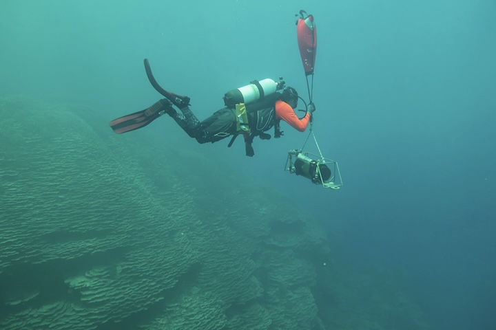 De acordo com a NOAA, a enorme escala da formação nas Ilhas Maug exigiu adaptações nos métodos de medição, já que limitações de segurança durante os mergulhos impediram avaliações diretas convencionais.