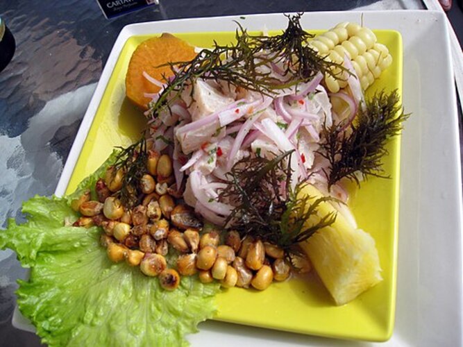 Os elementos básicos do ceviche são peixe fresco, suco de limão ou lima, cebola roxa, pimenta e coentro. Essa combinação cria um equilíbrio entre acidez, frescor e picância. A simplicidade dos ingredientes reforça a ideia de que o segredo está na qualidade e no preparo cuidadoso.
