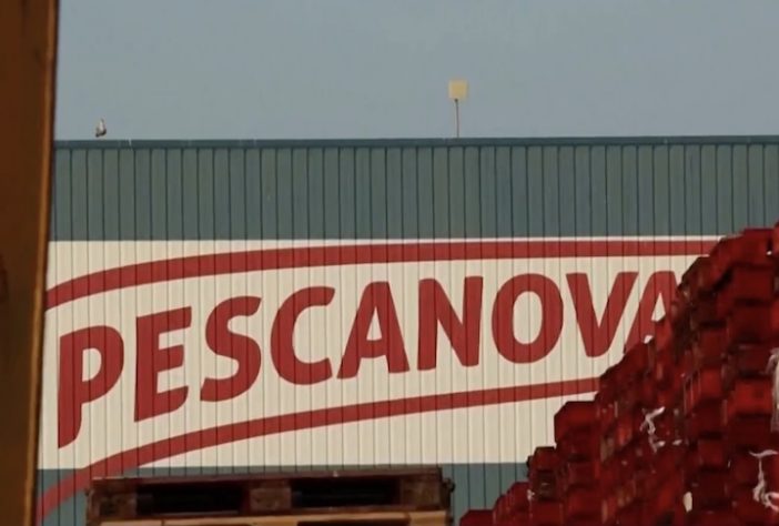 Primeira fazenda de polvos do mundo gera críticas de cientistas e ativistas - Reprodução/NBC News