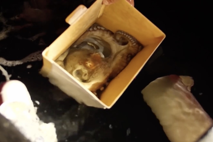 A proposta de matar os polvos em água a -3°C é classificada como 