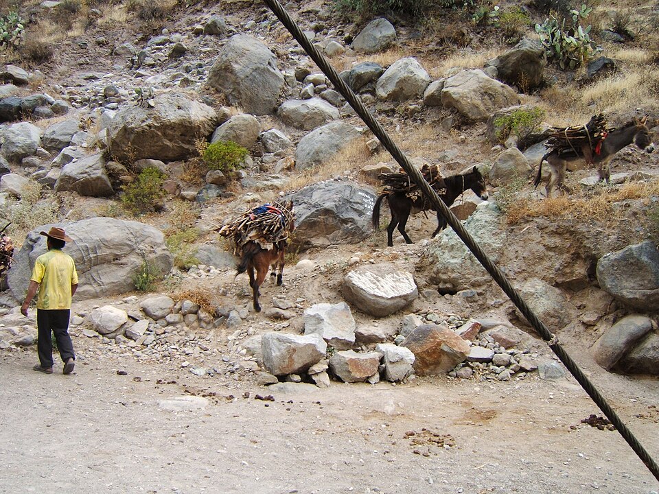 A jornada de Arequipa até Chivay já é parte da experiência, com paisagens andinas e vilarejos pitorescos. Cada curva da estrada revela novos cenários. Assim, o caminho é tão encantador quanto o destino.