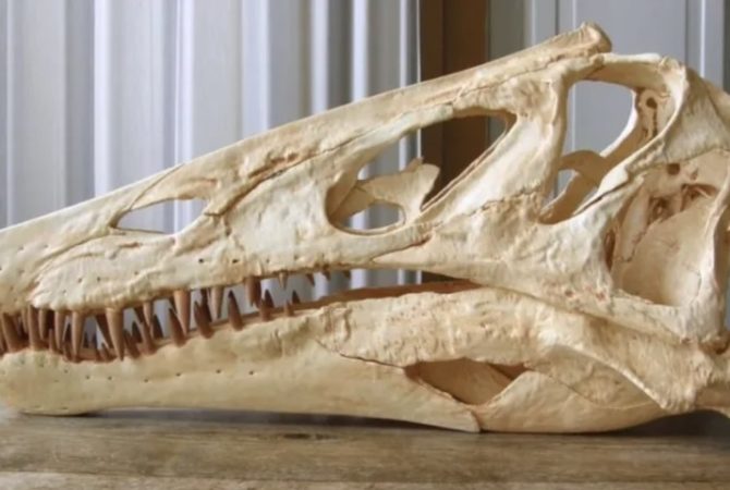 ‘Irritator challengeri’: fóssil de dinossauro retirado ilegalmente do Ceará há 35 anos será repatriado