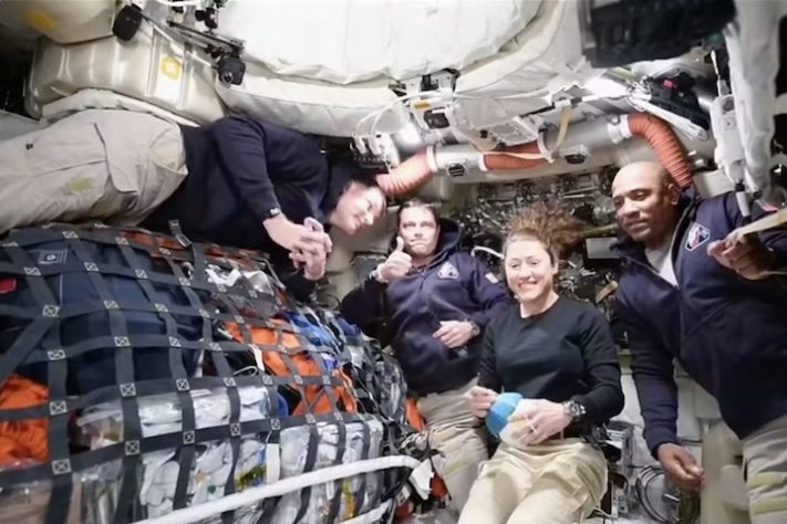 Astronautas da missão Artemis II, da Nasa, que realizou sobrevoo lunar em 2026 - Divulgação/NASA