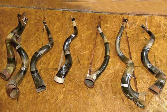 Berrante: o som do campo que une cultura e função no dia a dia rural