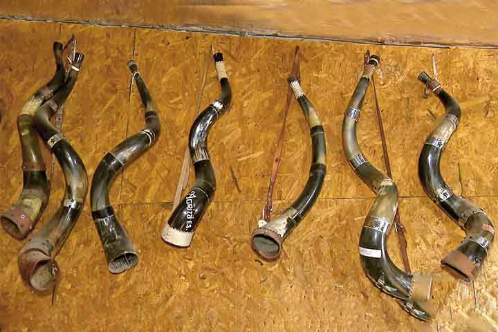 Berrante, chifre, buzina, guampo ou corno, corneta feita de chifres de boi - Reprodução de vídeo TV Globo