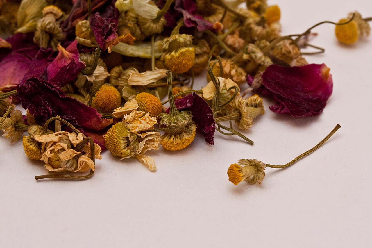 O chá de camomila não atua apenas no sistema nervoso: ele também possui propriedades anti-inflamatórias e antioxidantes. Esses efeitos complementares ajudam a reduzir desconfortos físicos, o que reforça a sensação geral de bem-estar. O resultado é um impacto positivo tanto no corpo quanto na mente.
