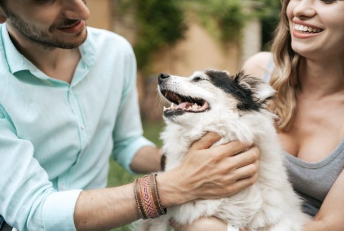 Projeto de lei que define a guarda compartilhada de pets em casos de divórcio é aprovada pelo Senado