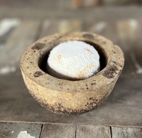 Queijo de cabra Sapucaia, produzido em Valença (RJ), é eleito o melhor do mundo - Divulgação 