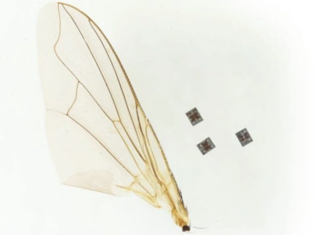 Pesquisadores dos Estados Unidos desenvolveram robôs microscópicos que tomam decisões e podem até 'nadar' dentro do corpo humano - Imagem gerada por IA