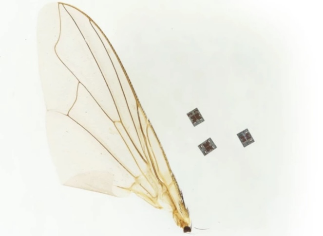 A estratégia se aproxima do conceito conhecido como 