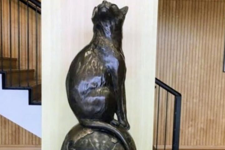 Com o passar dos anos, sua história caiu no esquecimento, enquanto outros animais envolvidos na corrida espacial receberam homenagens públicas e reconhecimento duradouro. Apenas décadas depois, o legado de Félicette voltou a ganhar atenção, culminando na instalação de uma estátua em sua homenagem na International Space University (ISU), em Estrasburgo, na França. 