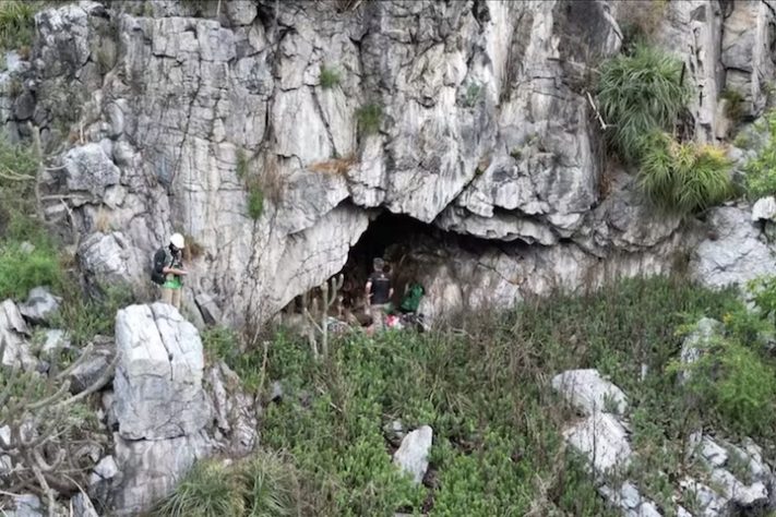 Caverna encontrada em Alagoas com mais de 21 mil morcegos - Reprodução