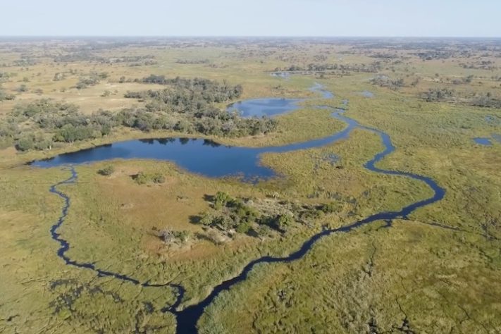 Delta do Okavango - Reprodução/YouTube