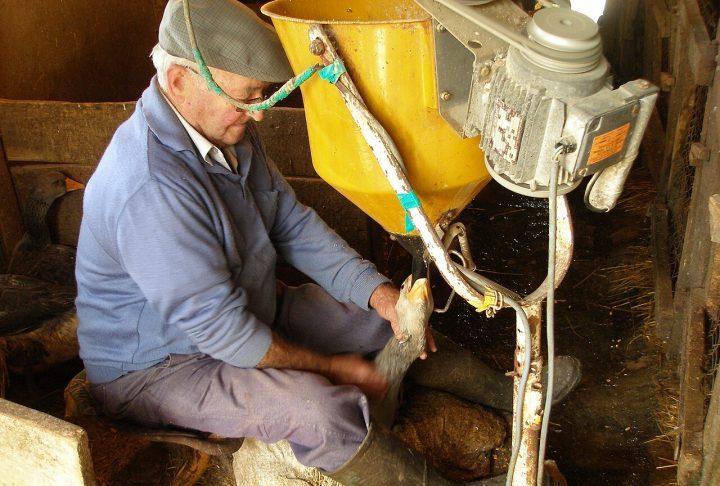 O tema também gera debates em outros países. Nos Estados Unidos, por exemplo, tentativas de restringir a venda do produto em cidades como Nova York desencadearam disputas políticas e jurídicas, além de reações internacionais, especialmente da França, onde o foie gras é visto como parte da tradição cultural.