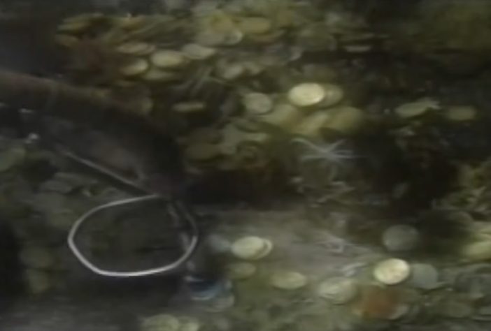 Homem ficou preso por 10 anos após se recusar a revelar paradeiro de tesouro - Reprodução/WBTW News13