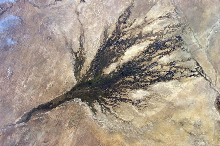 Delta do Okavango - Domínio Público/NASA