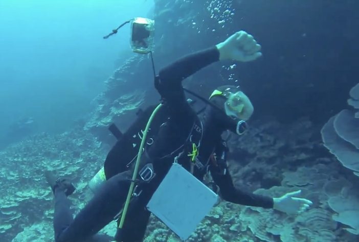 Ilhas Maug, corais - Reprodução 