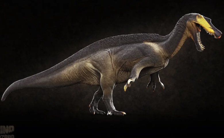 Todos esses itens recuperados integrarão o acervo do Museu de Paleontologia Plácido Cidade Nuvens, localizado em Santana do Cariri, no Ceará, referência na preservação e estudo da rica biodiversidade pré-histórica. Embora os detalhes logísticos da viagem ainda aguardem definição oficial, o compromisso estabelecido entre os ministérios das relações exteriores de ambos os países assegura uma cooperação científica voltada para o benefício mútuo no futuro.