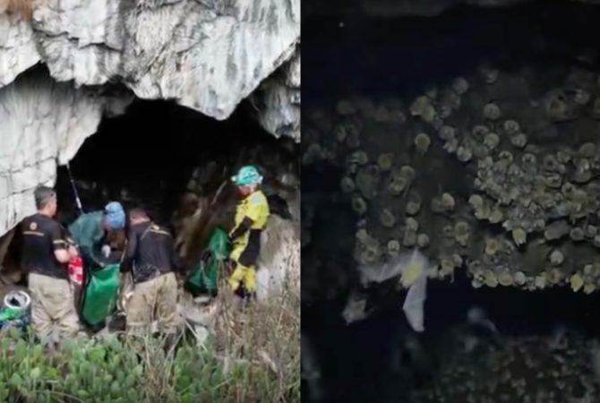 ‘Batcaverna do Sertão’: pesquisadores descobrem cavidade com mais de 20 mil morcegos em Alagoas