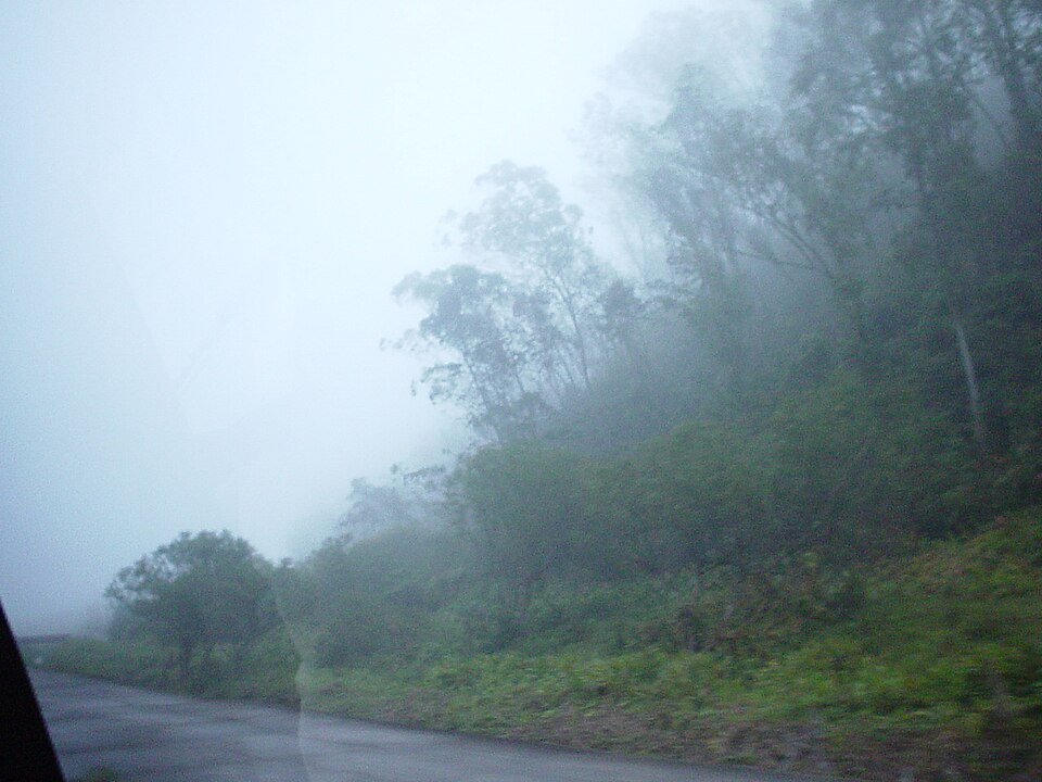 A neblina aparece como uma versão intermediária, menos densa que o nevoeiro, mas ainda perceptível. Nela, a visibilidade fica entre 1 e 5 quilômetros, o que permite enxergar o ambiente com certa limitação, mas sem bloqueio total.