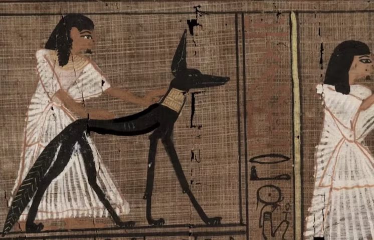 Esse procedimento foi observado em um exemplar do 