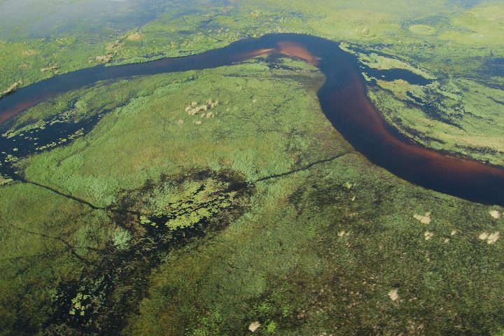 Considerado um dos maiores deltas interiores do mundo com cerca de 2 milhões de hectares de áreas protegidas, o Okavango foi incluído como Patrimônio Natural da Humanidade pela UNESCO em 2014.