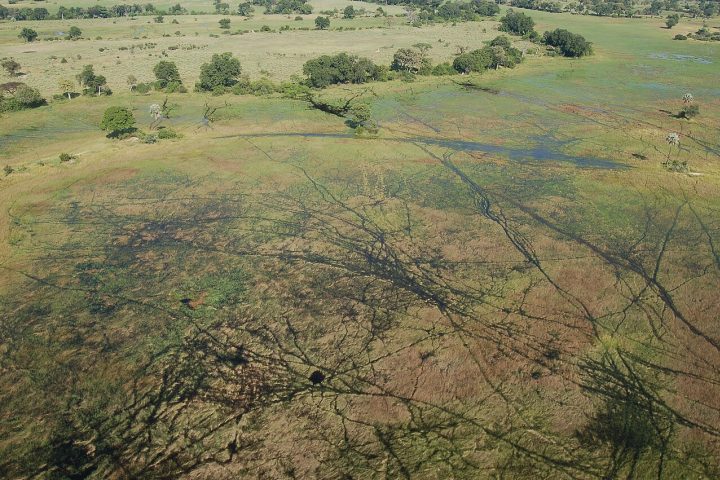 Contudo, esse equilíbrio delicado enfrenta ameaças crescentes devido às mudanças climáticas e às intervenções humanas nas nascentes, o que exige esforços contínuos de preservação para garantir a sobrevivência desse sistema hídrico fascinante.