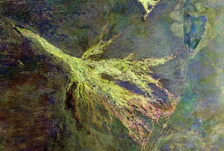 Durante o período de cheia, o delta pode ultrapassar 15 mil km² e se reorganiza continuamente com a formação de novos canais, lagoas e ilhas temporárias, criando um imenso oásis verdejante visível do espaço.
