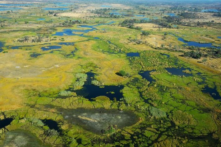 Delta do Okavango | Panoramio - Pavel Špindler