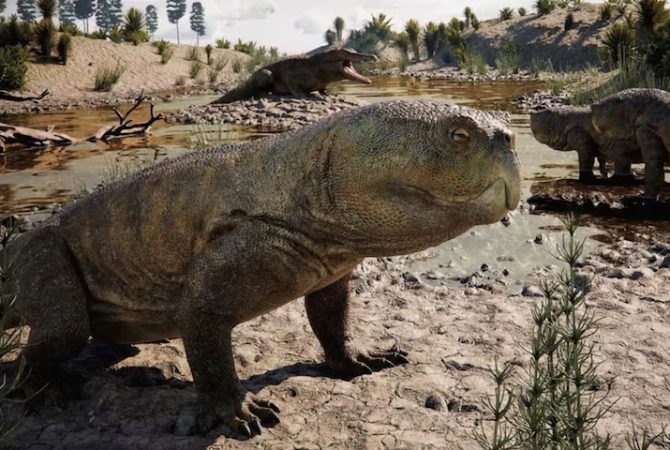 Pesquisadores descobrem réptil de 230 milhões de anos com “bico de papagaio”  no Rio Grande do Sul