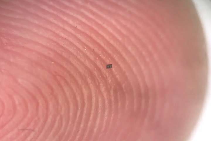 Em dezembro de 2025, a engenharia robótica testemunhou um marco histórico com a revelação de uma nova linhagem de dispositivos autônomos desenvolvidos pela Universidade da Pensilvânia e pela Universidade de Michigan. Cada unidade mede cerca de 200 por 300 por 50 micrômetros, dimensão inferior à de um grão de sal, o que coloca esses dispositivos entre os menores robôs programáveis já produzidos até hoje. O projeto demonstrou que estruturas extremamente reduzidas também podem executar tarefas típi -  (crédito: Divulgac?a?o/Marc Miskin/Universidade da Pensilvânia )