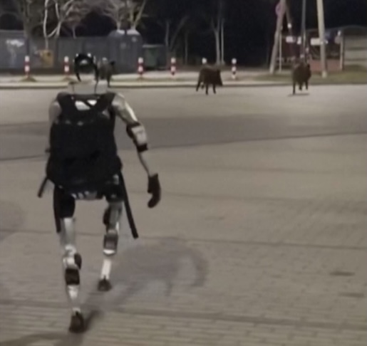 No vídeo, a máquina corre na direção dos animais enquanto grita em polonês para que eles se afastem, conduzindo-os até uma área de mata próxima. O modelo possui câmeras integradas, microfone e alto-falante, o que permite comunicação direta com o ambiente ao redor.