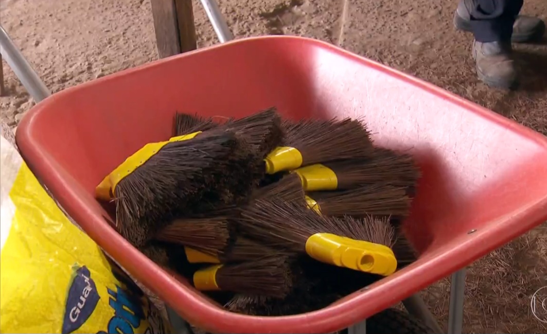 Por ser uma matéria-prima natural e renovável, a piaçava também ganha espaço em propostas sustentáveis. Seu uso contribui para reduzir materiais sintéticos e reforça práticas ligadas à economia verde.