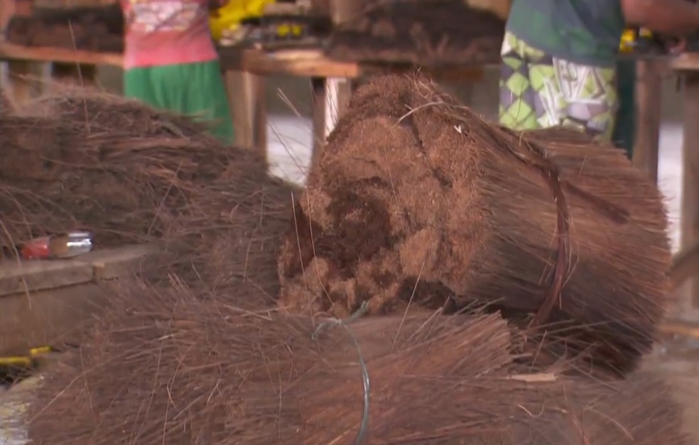 Além disso, a cadeia produtiva movimenta pequenos comércios e indústrias. Desde a coleta até a transformação em produtos finais, há geração de empregos em várias etapas.